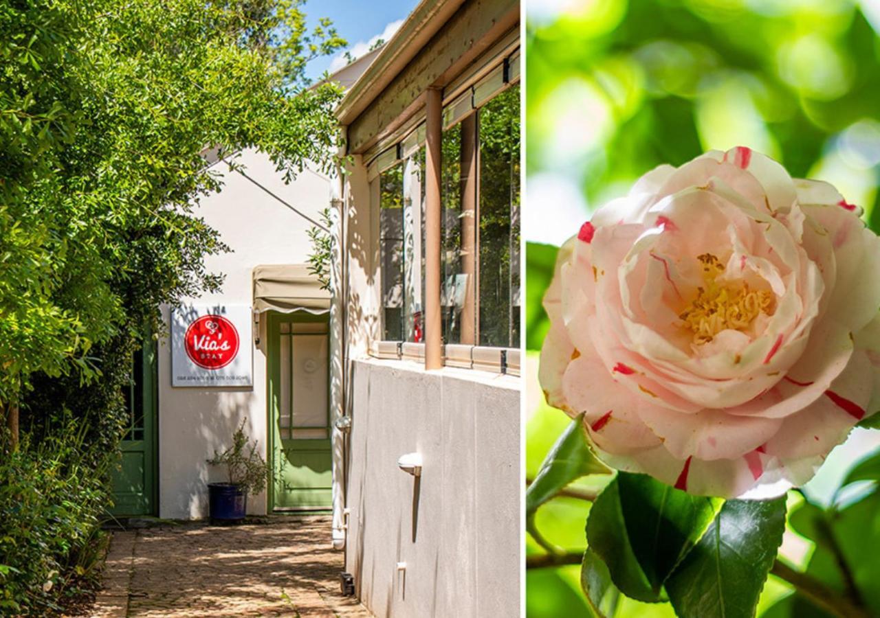 Via'S Guesthouse Greyton Luaran gambar
